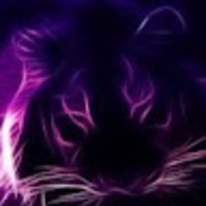 Meet your Posher, Favour